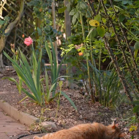 Appartamento Freiraumwohnung